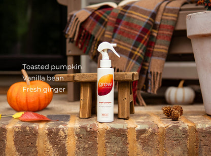 Ginger Pumpkin Air + Fabric Spray