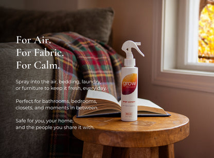 Ginger Pumpkin Air + Fabric Spray