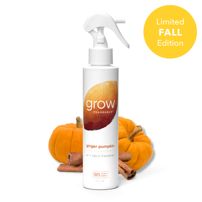 Ginger Pumpkin Air + Fabric Spray